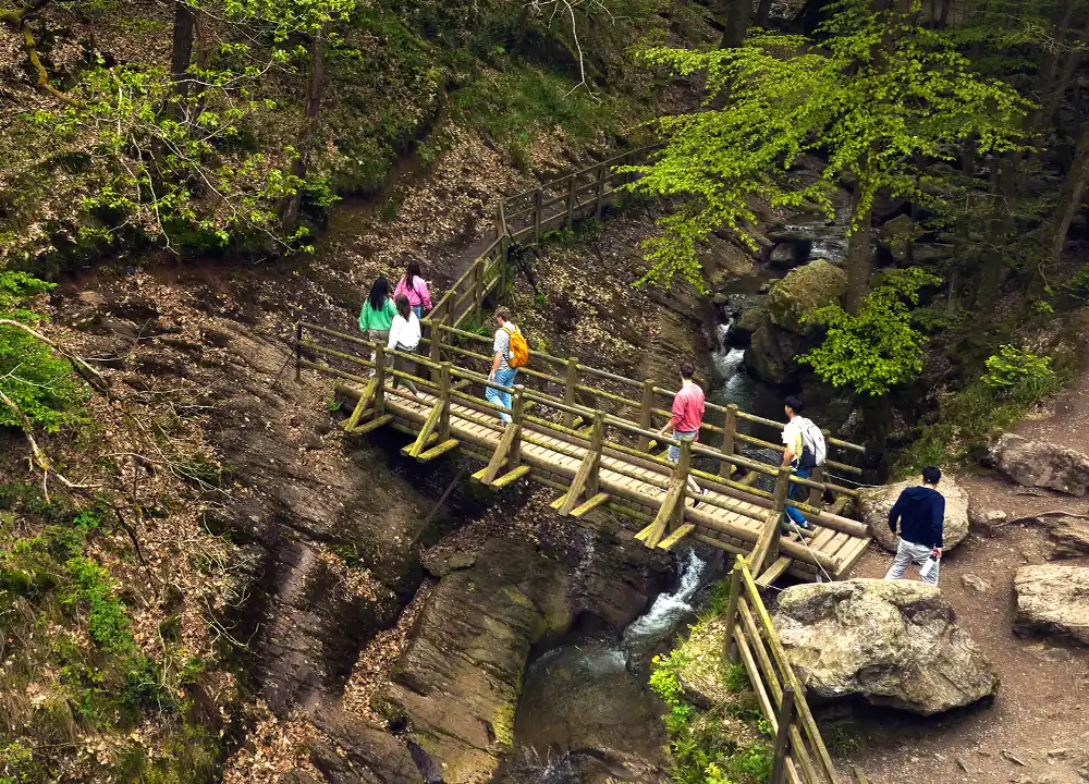 Wandelen in de Belgische Ardennen